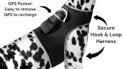 NEW GSM GPS Mini Collar Waterproof Realtime Tracker - Your Dog Safety Size:XXL