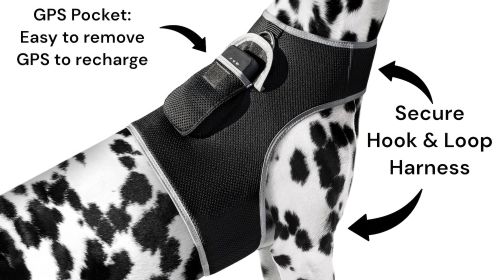 NEW GSM GPS Mini Collar Waterproof Realtime Tracker - Your Dog Safety Size:XXL