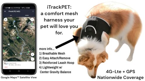 Low Cost Pet Tracking Device Rechargeable Waterproof GSM GPRS Tracker Size:L
