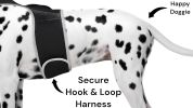 NEW GSM GPS Mini Collar Waterproof Realtime Tracker - Your Dog Safety Size:XL