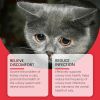 Yegbong Pet Dietary Supplement, Take Care Of The Pet Discomfort Cat To Absorb Nutritional Supplements
