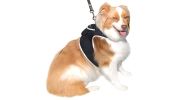 Mini Waterproof GPS Tracker for Dog Collar w/ Perimeter Fencing System Size:XL