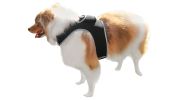 NEW GSM GPS Mini Collar Waterproof Realtime Tracker - Your Dog Safety Size:XXL