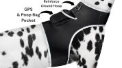 Low Cost Pet Tracking Device Rechargeable Waterproof GSM GPRS Tracker Size:L