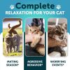 Hemp Cat Calming Treats for Stress & Anxiety Relief Cat Kittens Melatonin Made in USA Storm Anxiety Сomposure Grooming Separation Travel Care Calming