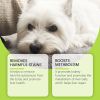 Yegbong Dog Care Drops, A Comprehensive thy Dietary Supplement To Nutrition And Rejuvenate Dogs