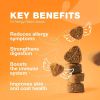 Dog Allergy Relief Chews Itch Relief for Dogs Anti Itch Dog Allergy Chews US Formulated Dog Itching Skin Relief with Salmon Oil Immune Health Seasonal
