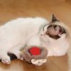 Interactive cat toy for indoor cats